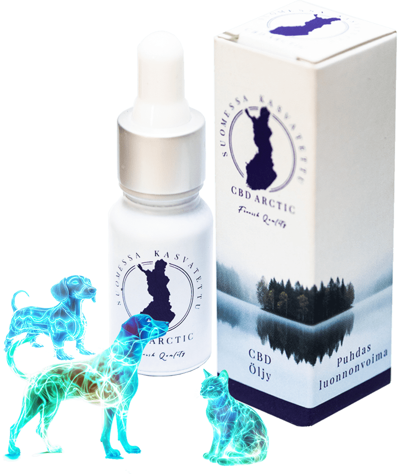 Huile de CBD pour Animaux de Compagnie 6%