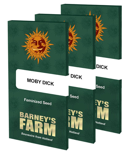 Barney's Farm Moby Dick