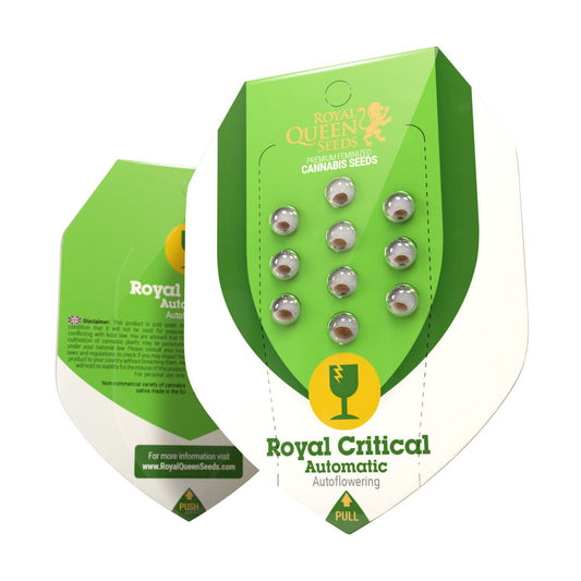 Royal Queen Seeds Royal Critical Auto