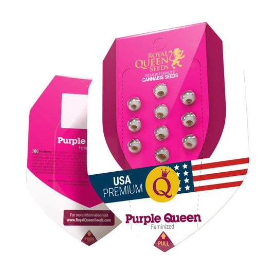 Royal Queen Seeds Purple Queen